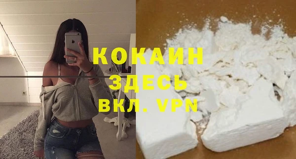 шишки Белокуриха