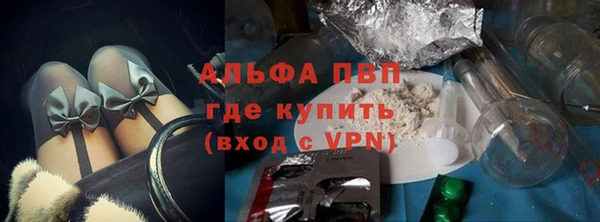шишки Белокуриха