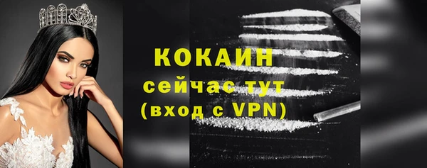 шишки Белокуриха