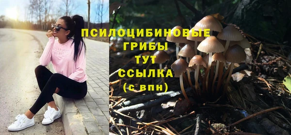 шишки Белокуриха