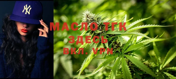 шишки Белокуриха