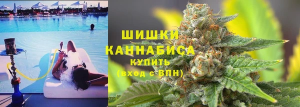 шишки Белокуриха