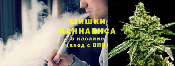 шишки Белокуриха