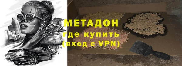 шишки Белокуриха