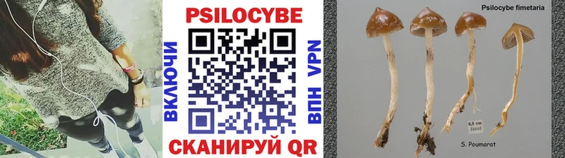Псилоцибиновые грибы Magic Shrooms  купить наркоту  Верхний Уфалей 