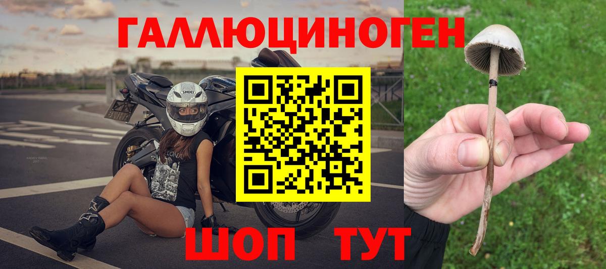 Галлюциногенные грибы мицелий  где продают   Верхний Уфалей 
