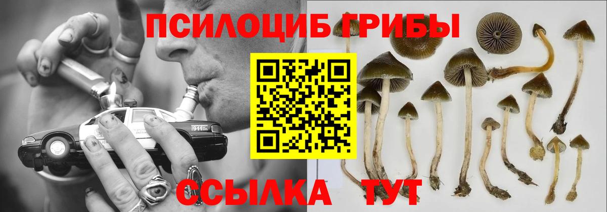Верхний Уфалей  Галлюциногенные грибы Cubensis  купить   Вход с VPN  Псилоцибиновые грибы GOLDEN TEACHER 